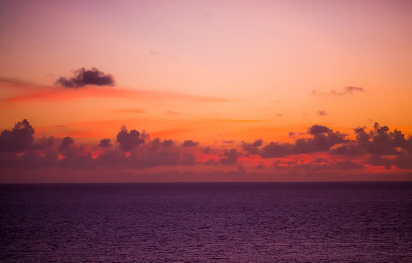 Photo wallpaper sea, clouds, sunset, horizon, orange sky