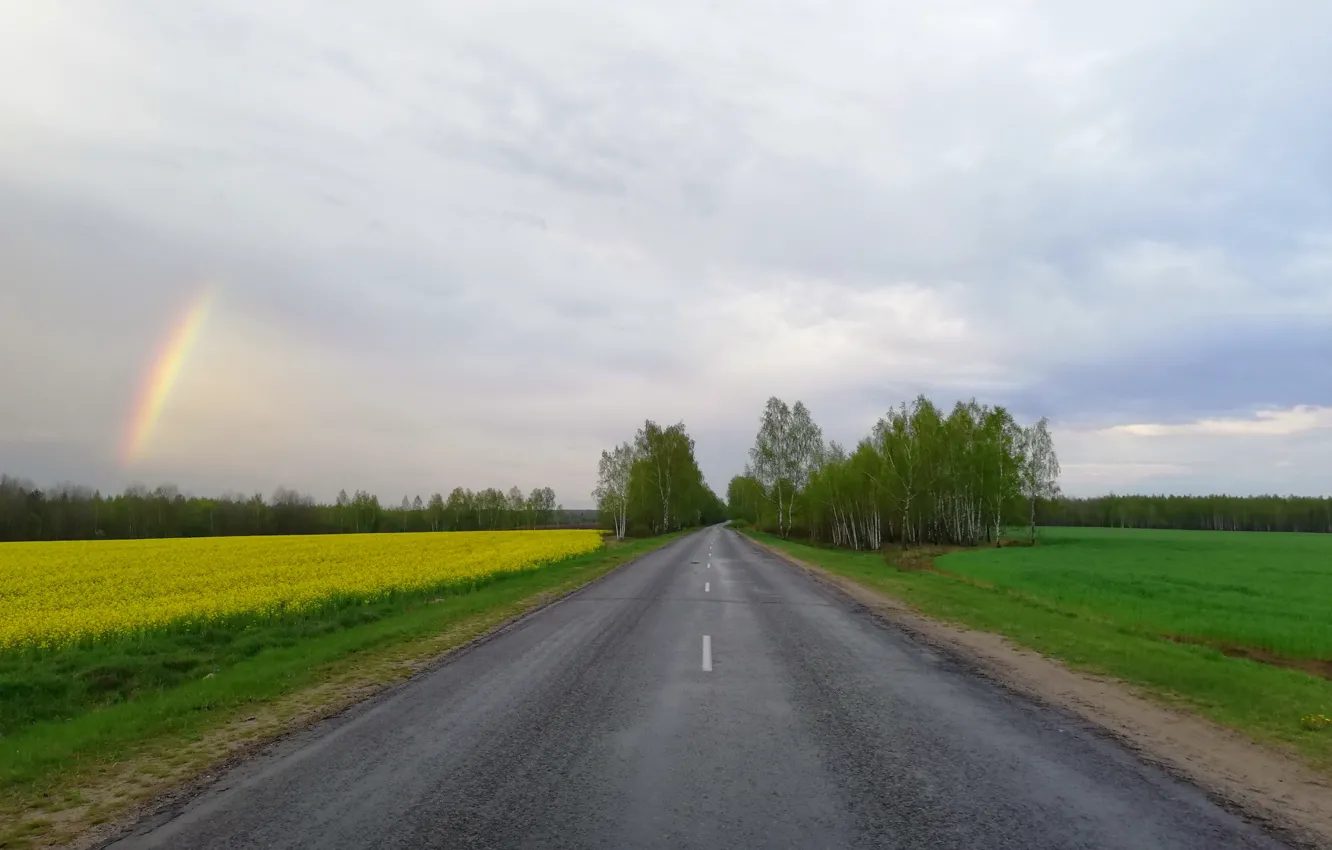 Photo wallpaper road, field, the sky, rainbow, spring, rape