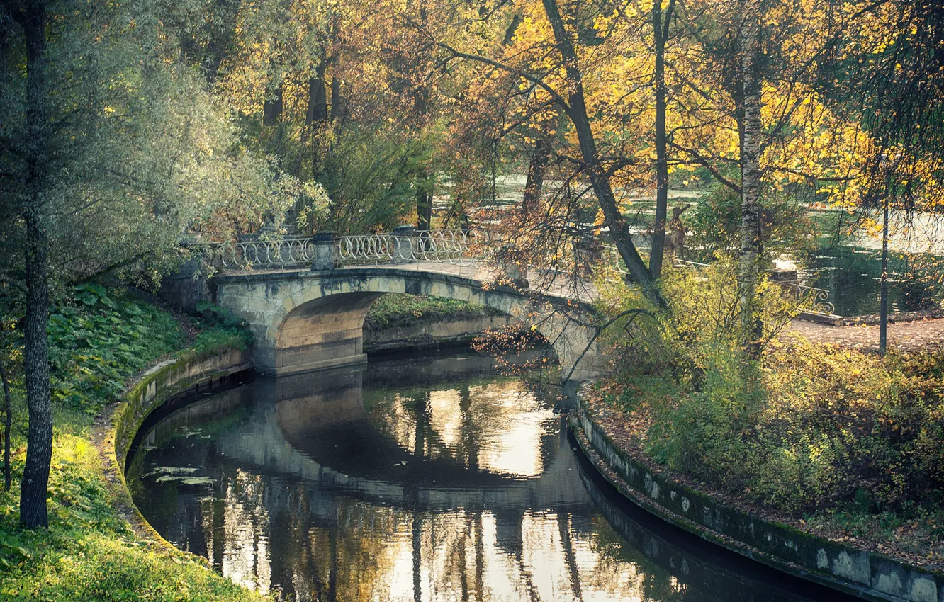 Photo wallpaper bridge, nature, Park