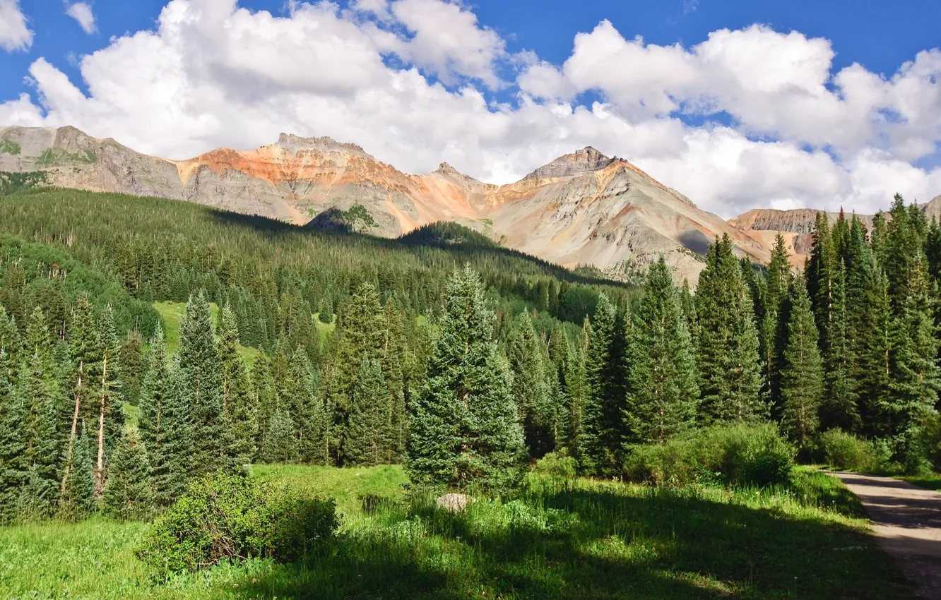 Photo wallpaper the sky, mountains, spruce forest