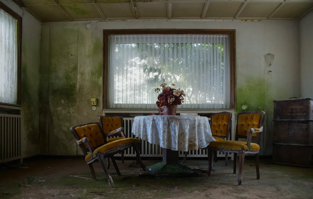 Photo wallpaper table, chair, window