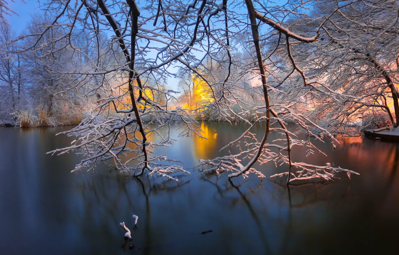Photo wallpaper winter, branches, lake, New York, Brooklyn, Brooklyn, New York City, Prospect Park