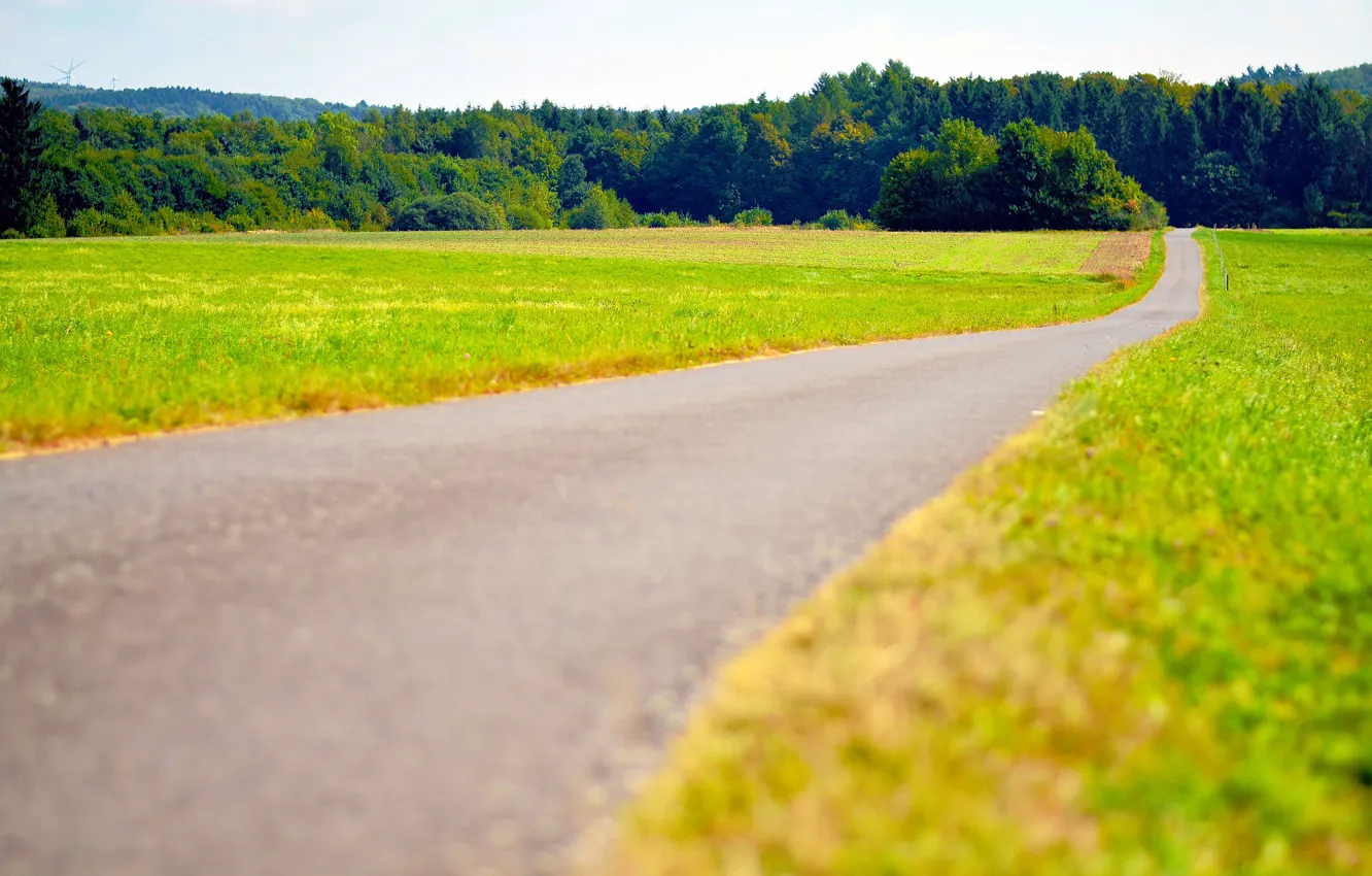 Photo wallpaper sunny, road, woodland, field, grass, countryside