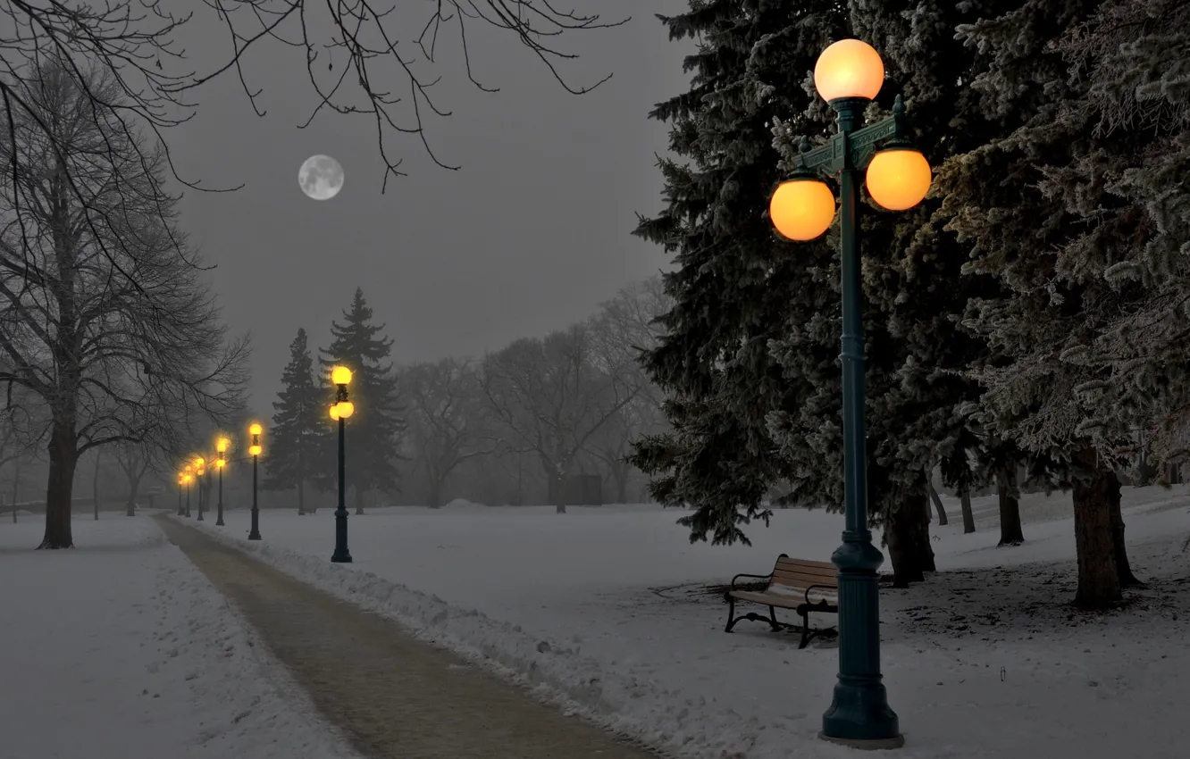 Photo wallpaper winter, snow, trees, bench, Park, the moon, the evening, lights