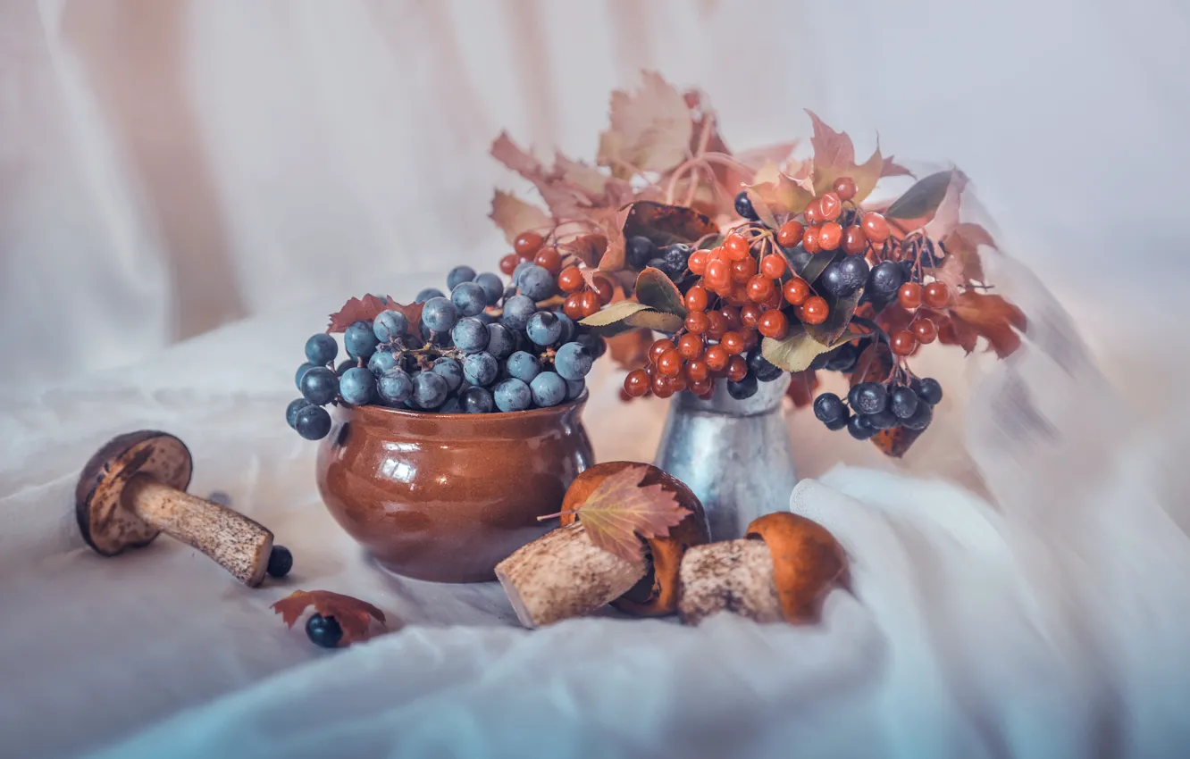 Photo wallpaper mushrooms, Kalina, bouquet, blur, chokeberry, ceramics, berries, autumn leaves