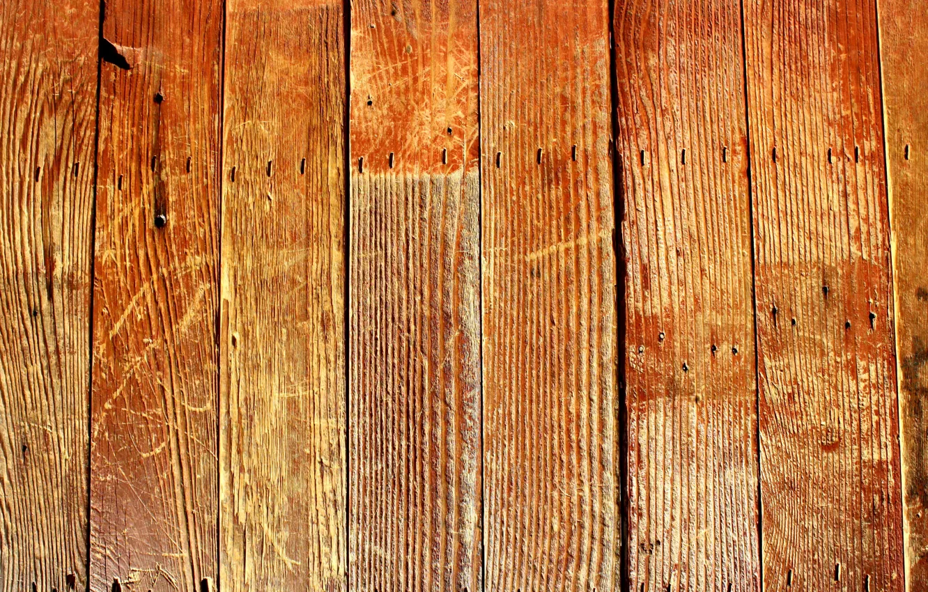 Photo wallpaper wood, paint, ack of maintenance