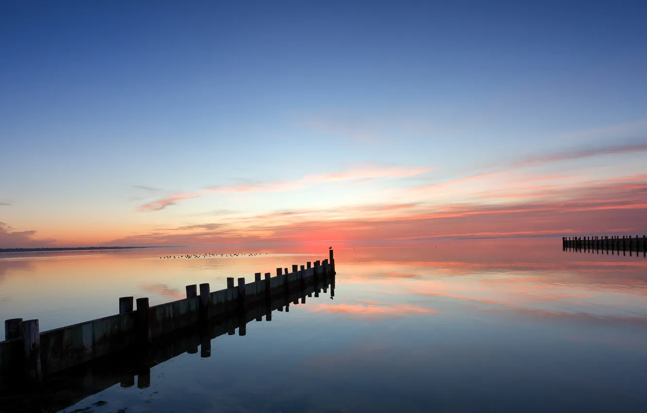 Photo wallpaper sea, sunset, seagulls