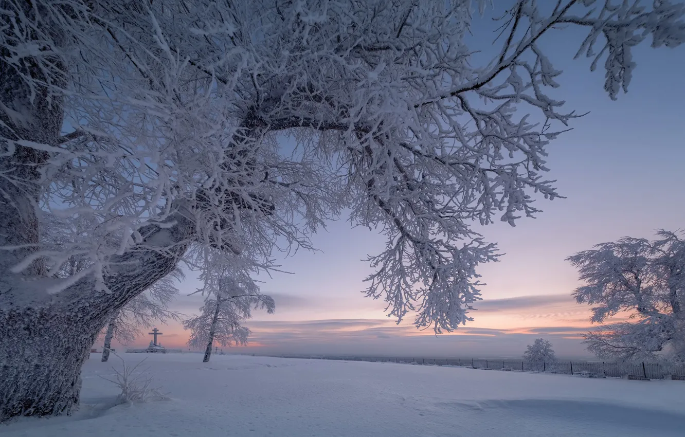 Photo wallpaper winter, snow, trees, branches, dawn, cross, morning, Russia