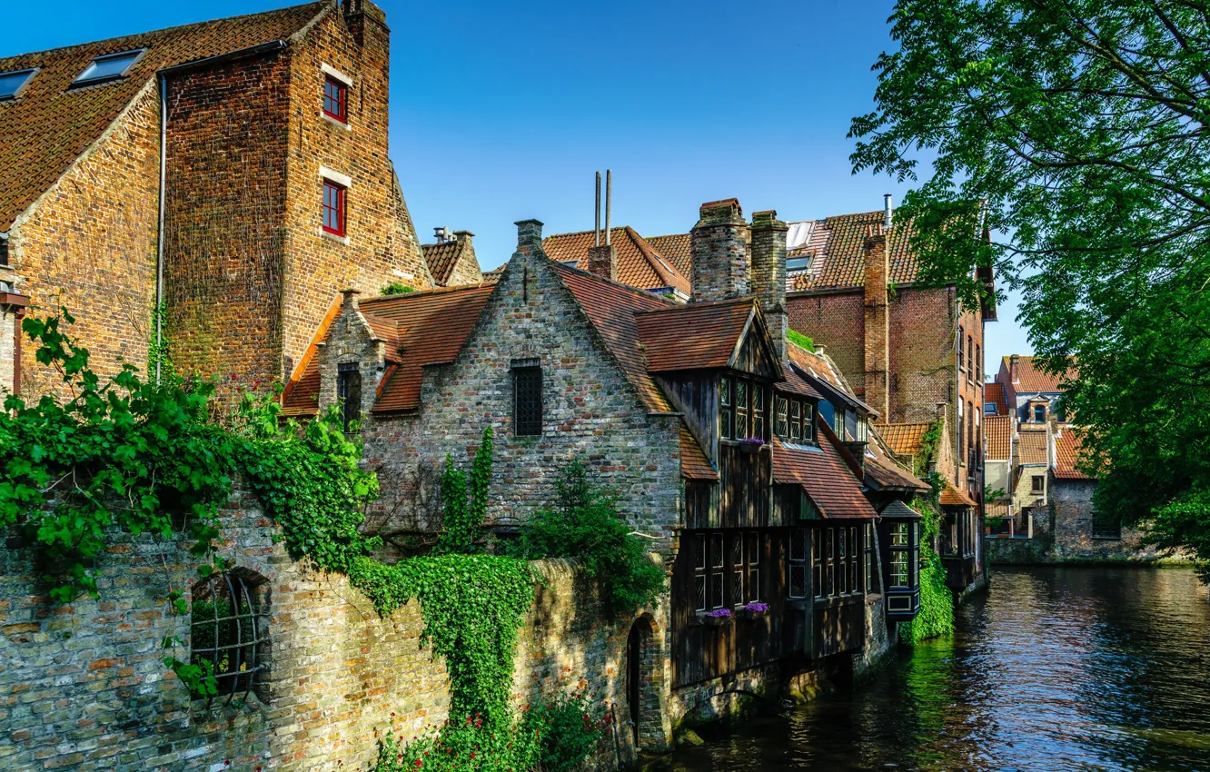 Photo wallpaper river, home, window, town