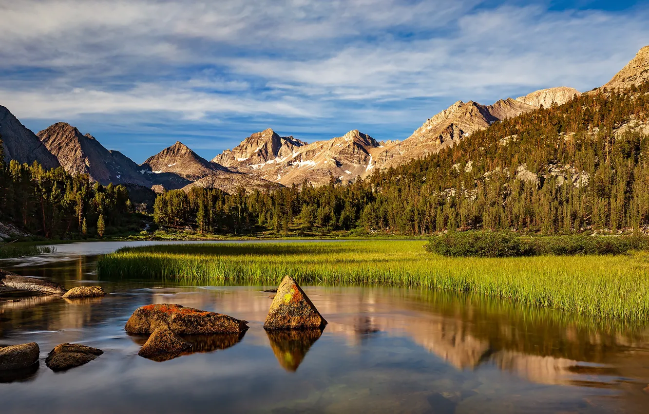 Photo wallpaper forest, the sky, mountains, reflection, stones, shore, tops