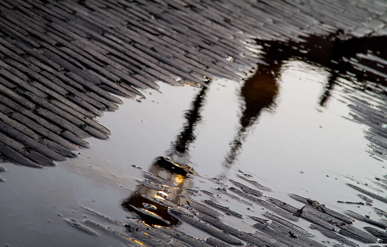 Photo wallpaper reflection, rain, puddle, lantern, bridge