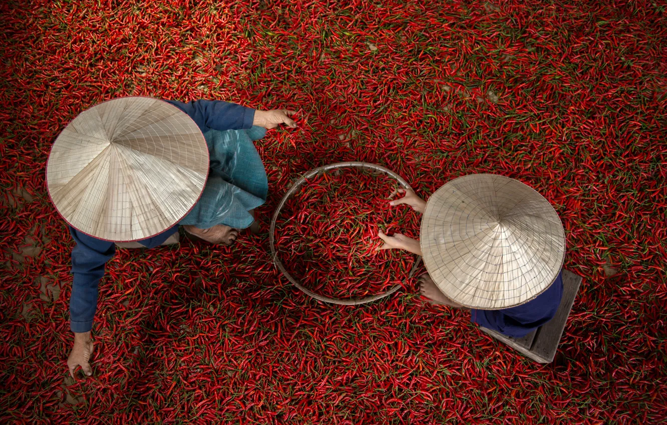 Photo wallpaper people, pepper, hot, Chile