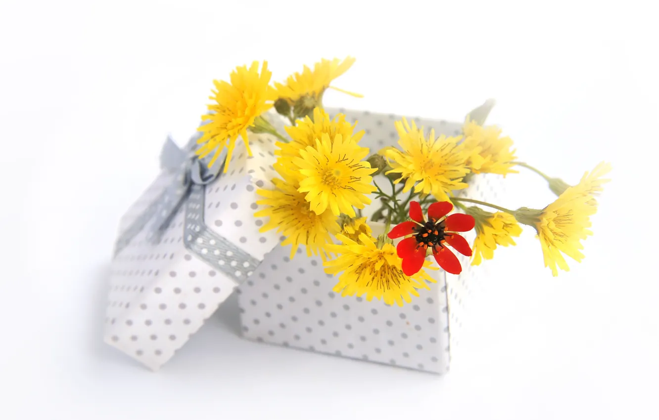 Photo wallpaper flowers, box, gift, bouquet