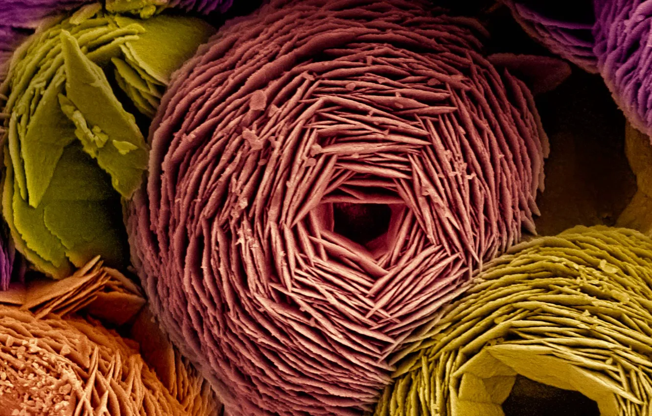 Photo wallpaper minerals, vaterite, scanning electron microscope, carbonate