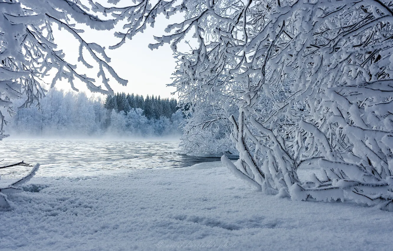 Photo wallpaper winter, forest, snow, trees, branches, lake, the bushes