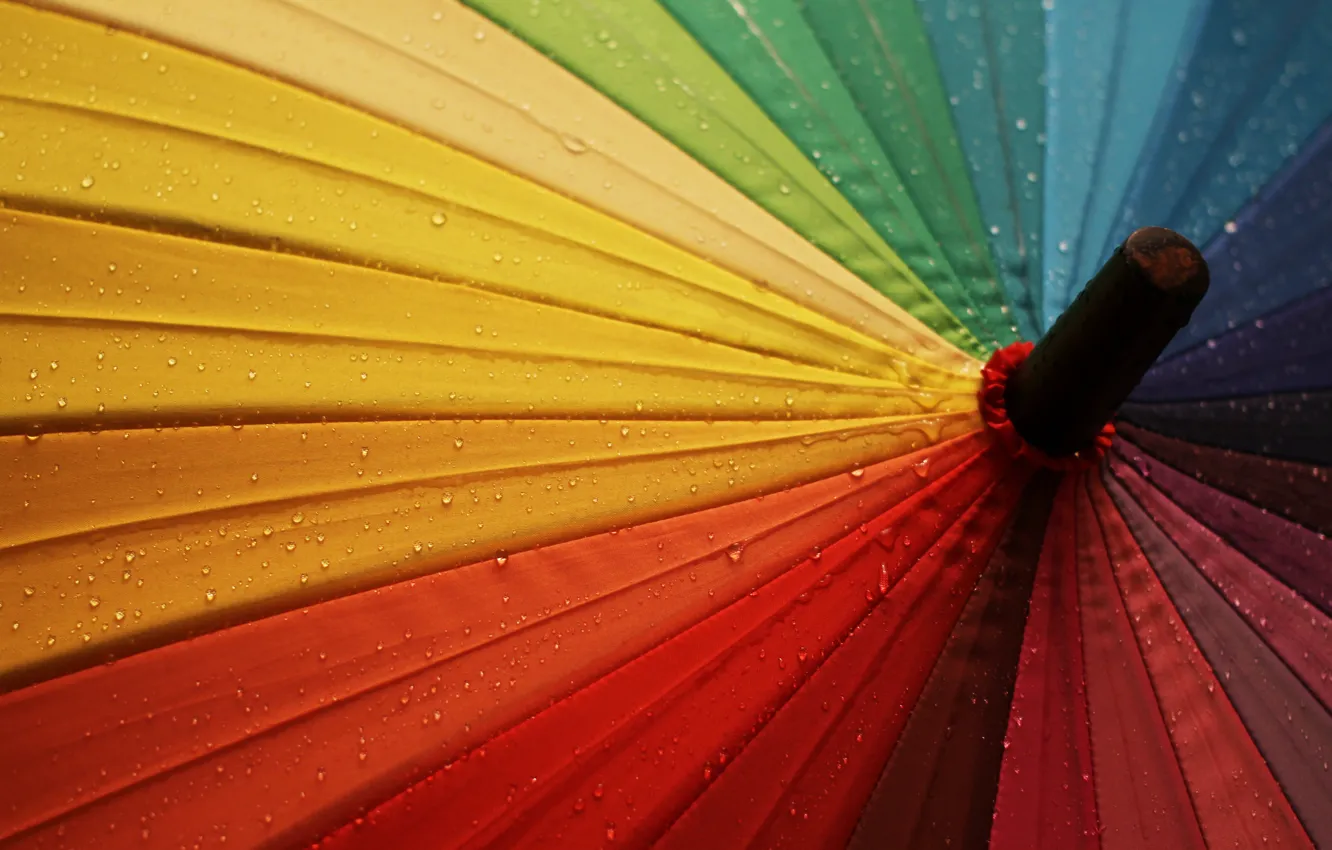 Photo wallpaper drops, rain, rainbow, umbrella