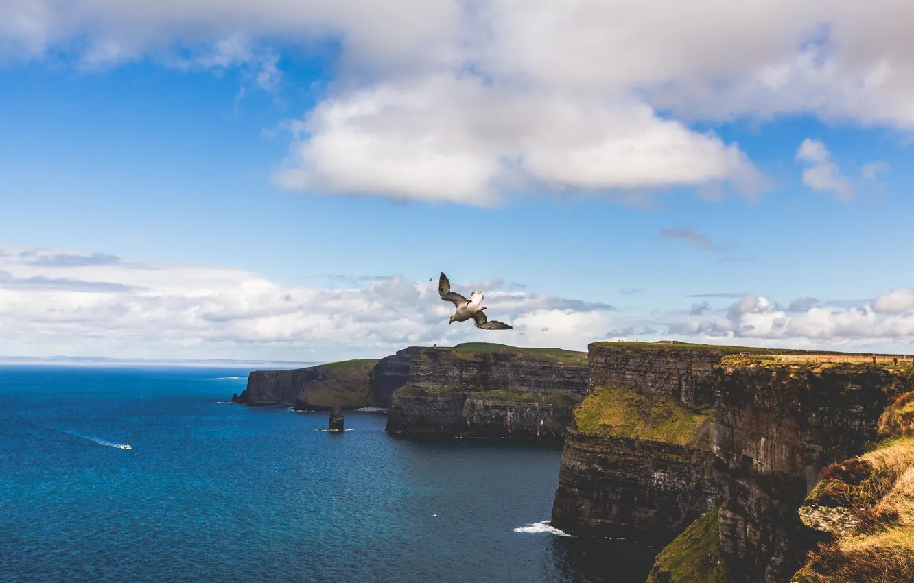 Photo wallpaper sea, the sky, clouds, flight, rocks, coast, boat, seagulls
