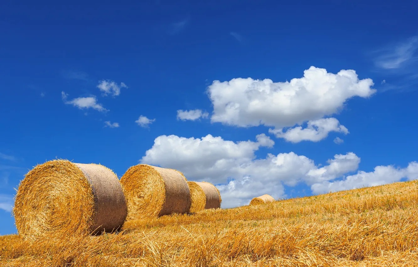 Photo wallpaper summer, the sky, landscape, hay