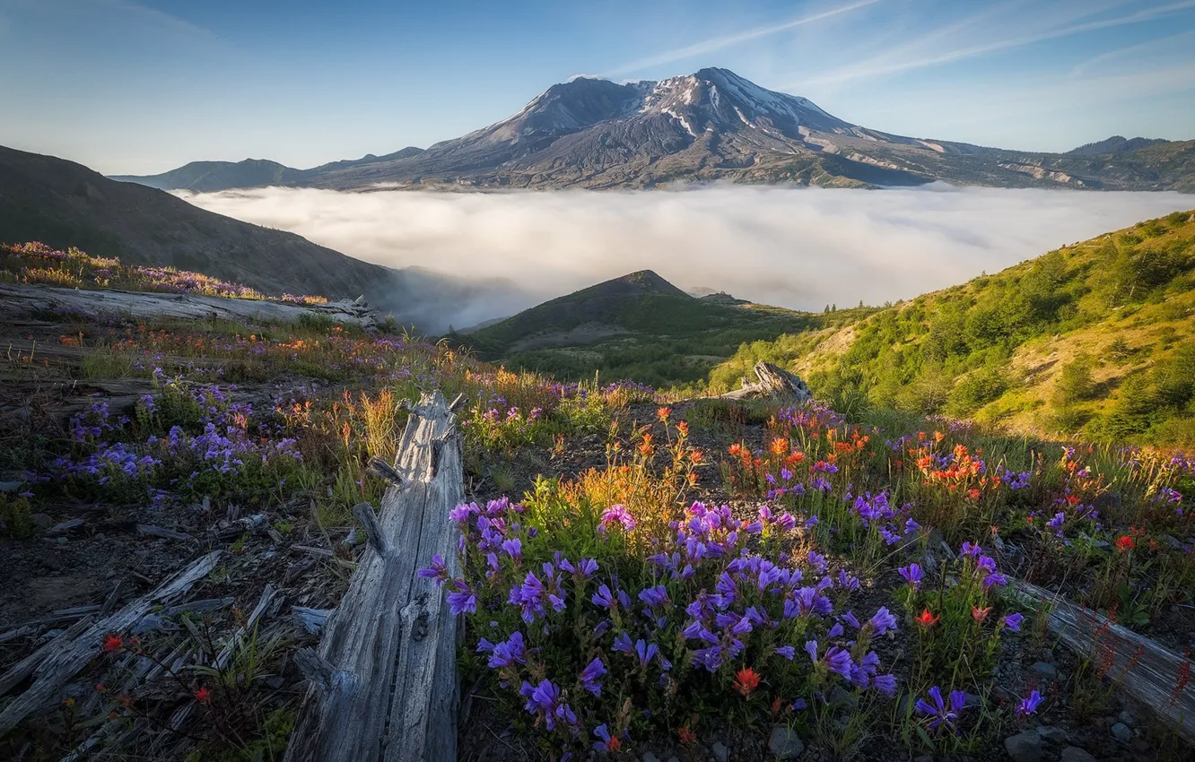 Photo wallpaper mountains, fog, morning