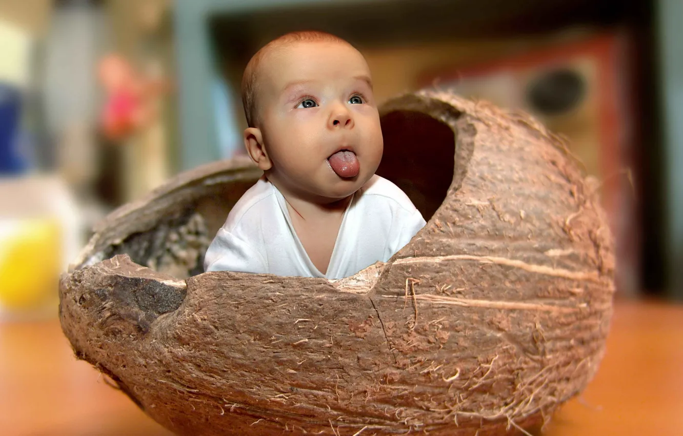 Photo wallpaper mood, baby, shell