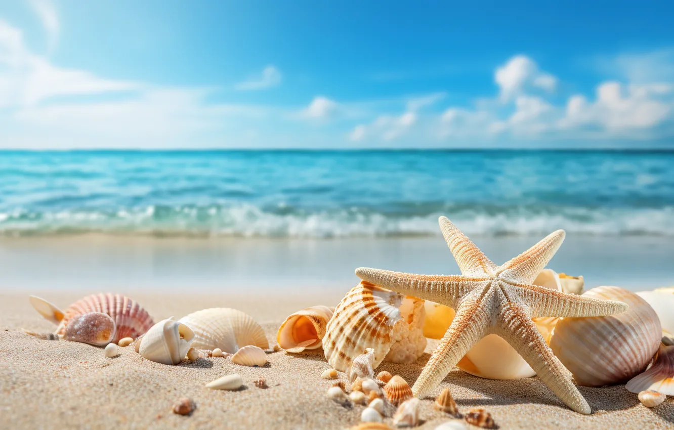 Photo wallpaper sea, beach, the ocean, shore, shell, starfish, seashells, seashell