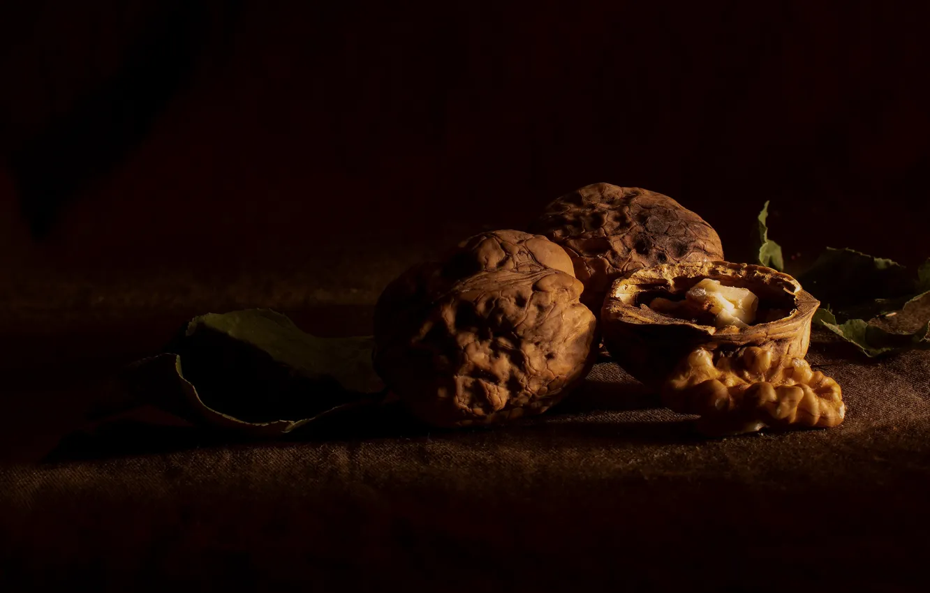 Photo wallpaper leaves, light, the dark background, table, fabric, - , nuts, still life