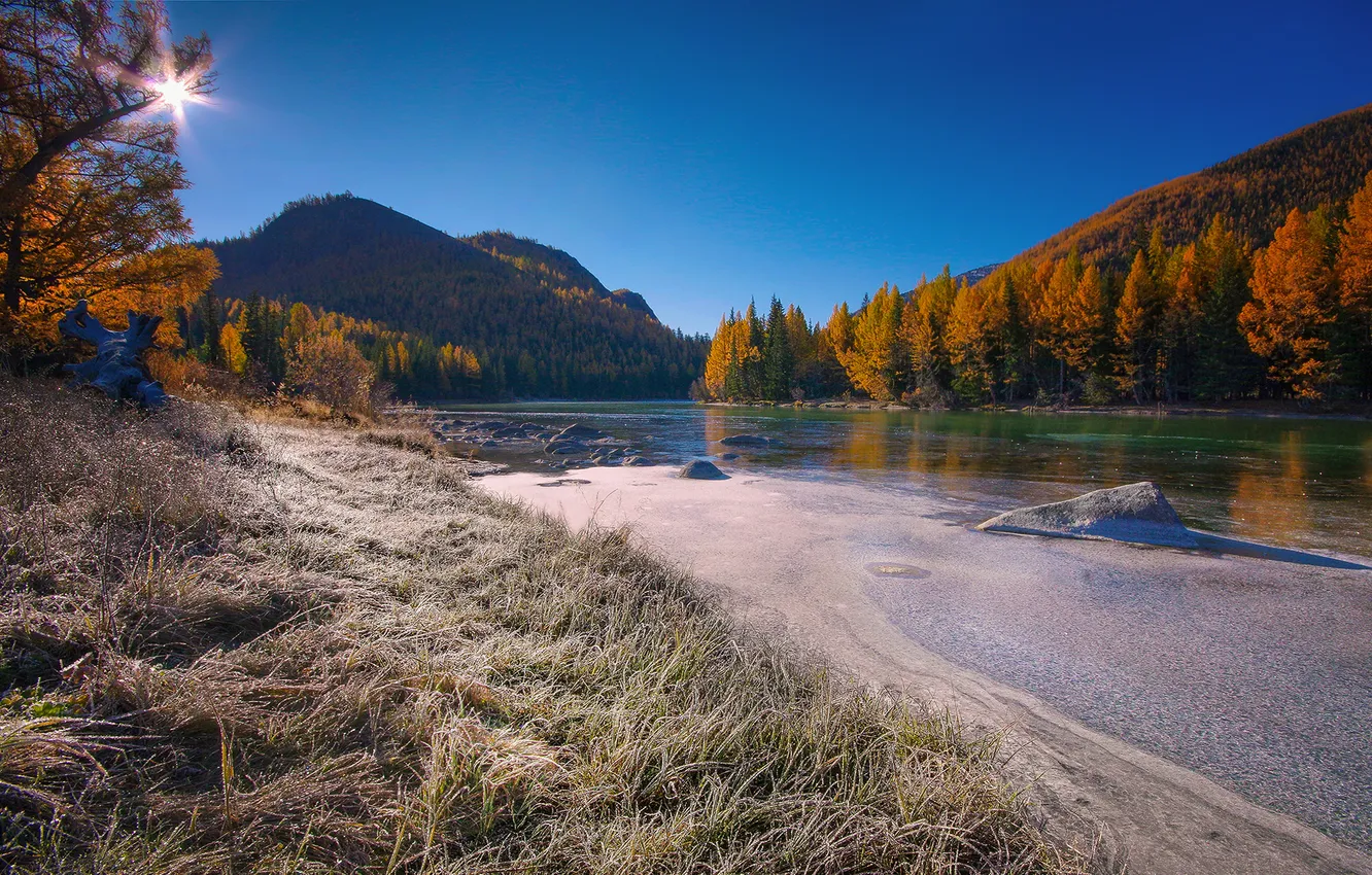 Photo wallpaper autumn, forest, the sky, grass, trees, landscape, mountains, nature