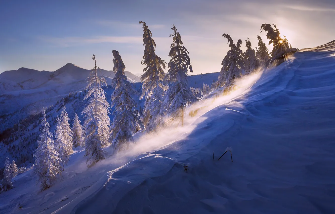 Photo wallpaper winter, the sun, light, snow, nature, the wind, The frost a minus of 43, Burlinski …