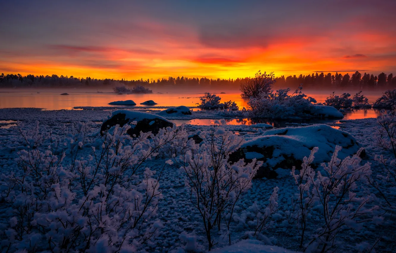 Photo wallpaper winter, snow, sunset, lake, Sweden, the bushes, Sweden, Lapland