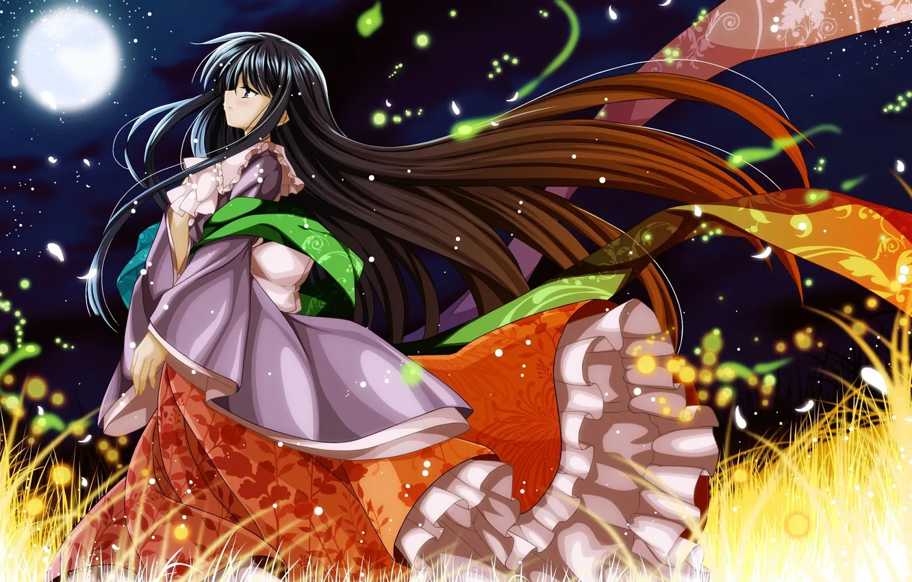 Photo wallpaper girl, night, the wind, the moon, lights, dress, art, touhou