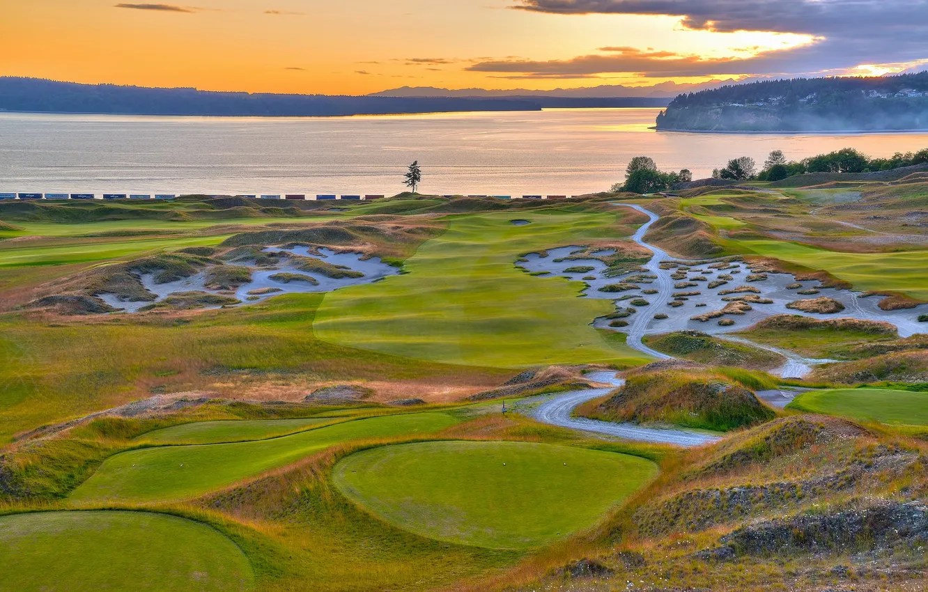 Photo wallpaper forest, the sky, grass, clouds, trees, sunset, lake