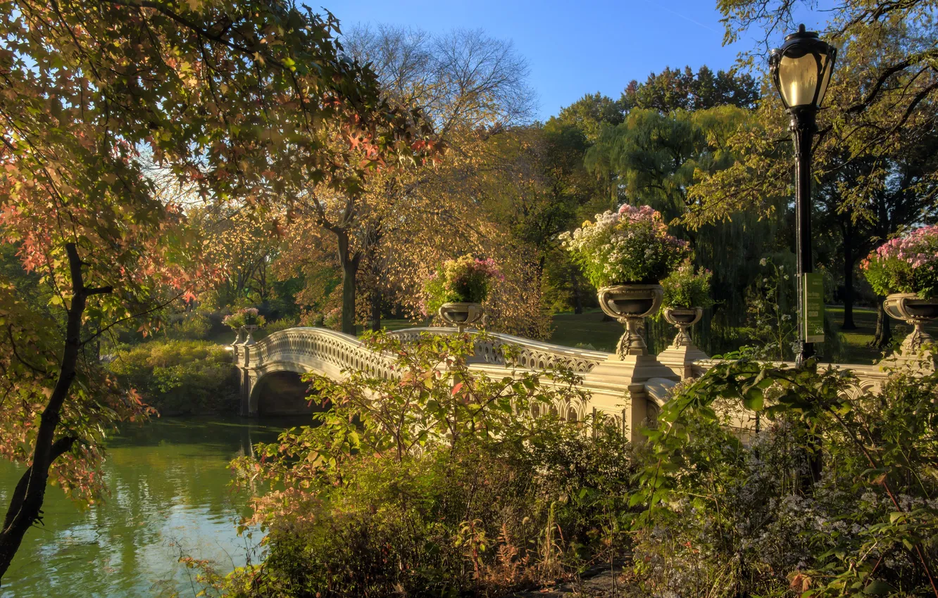 Photo wallpaper the sky, lantern, landscape. nature, flowers. bridge