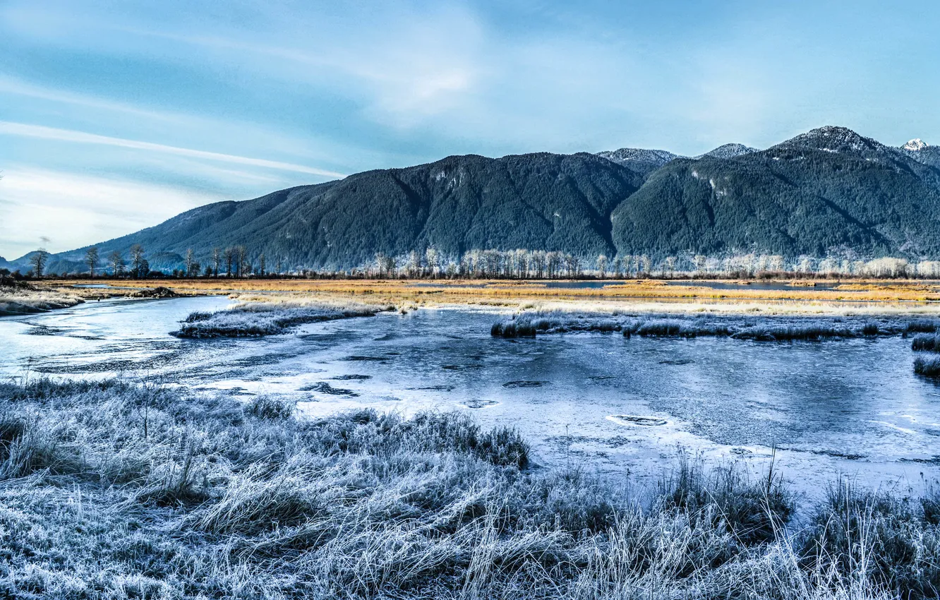 Photo wallpaper winter, trees, river, hills