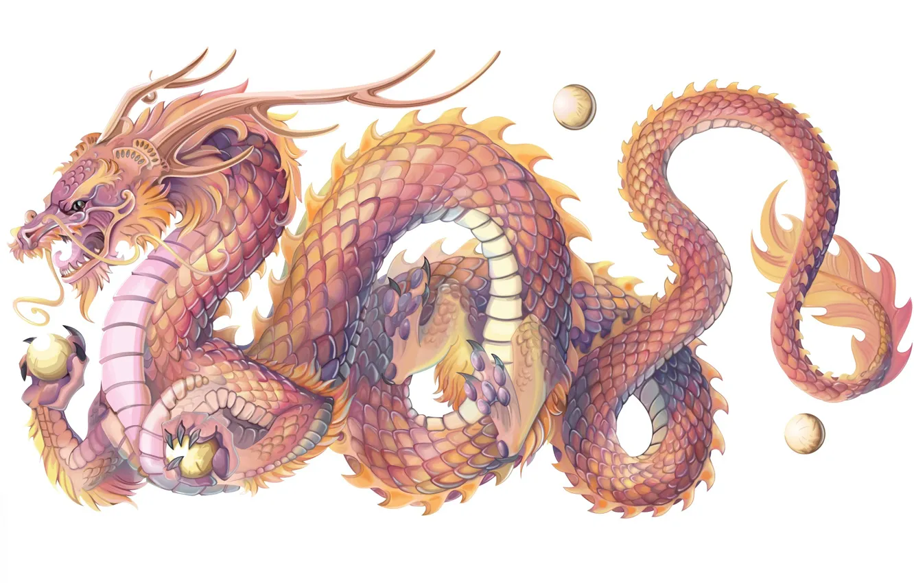 Photo wallpaper dragon, scales, symbol