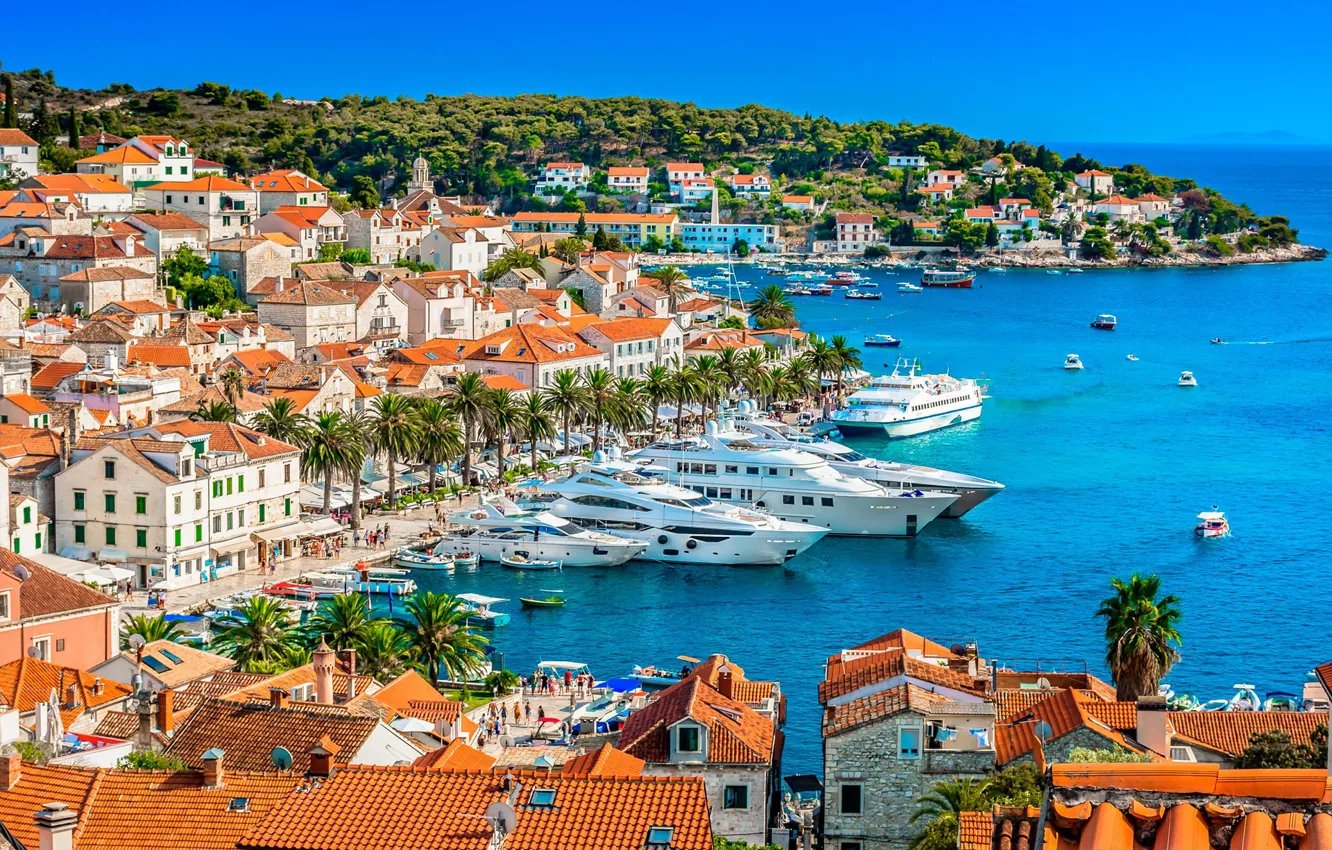Photo wallpaper sea, palm trees, yacht, panorama, Croatia, Hvar