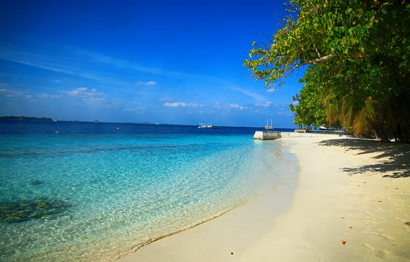 Photo wallpaper sea, beach, water, nature, palm trees, beauty