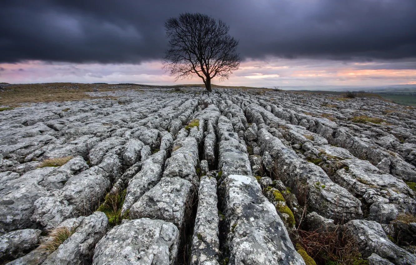 Photo wallpaper the sky, trees, clouds, stones, rocks