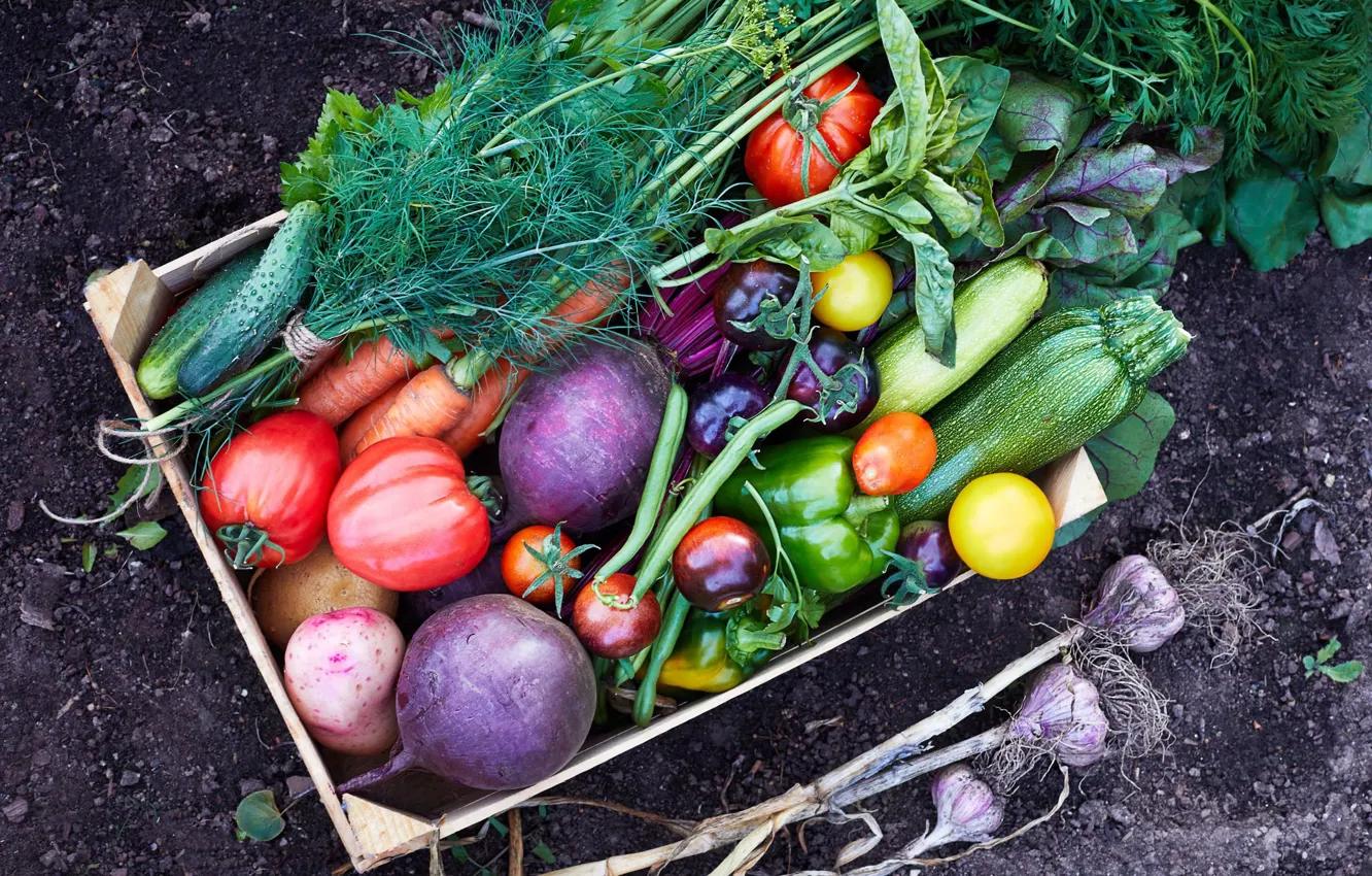 Photo wallpaper greens, vegetables, garlic