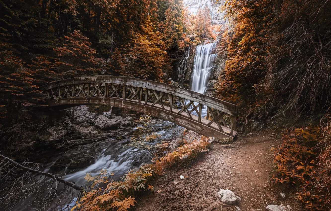 Photo wallpaper autumn, forest, branches, bridge, stream, stones, rocks, thickets