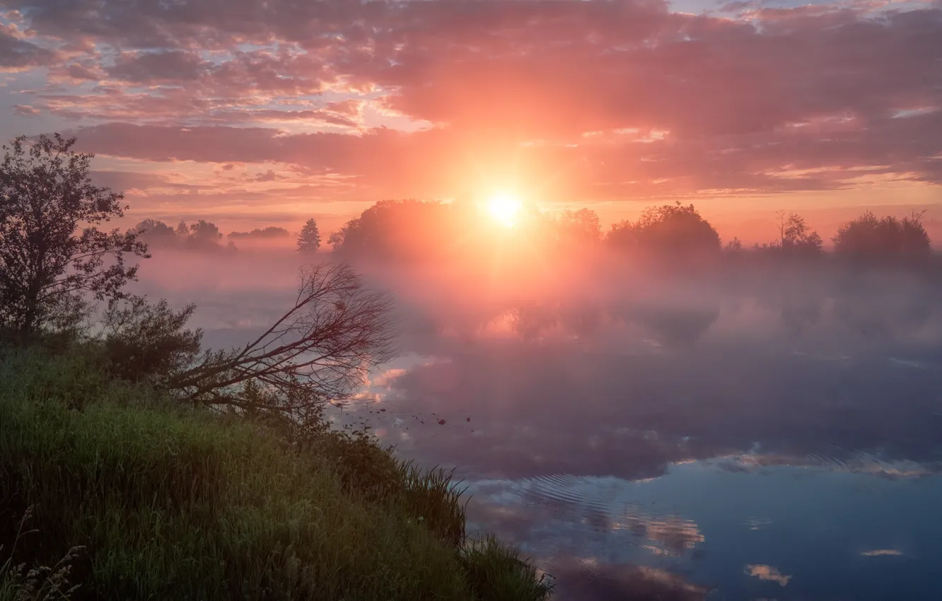 Photo wallpaper summer, the sun, clouds, rays, landscape, nature, fog, reflection