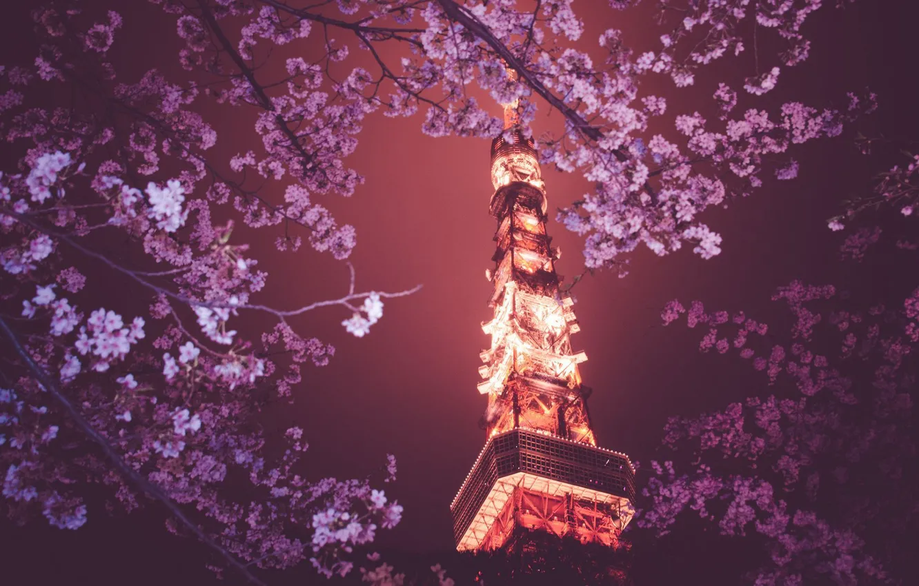 Photo wallpaper trees, lights, Paris, Eiffel tower, Paris, France, Eiffel Tower