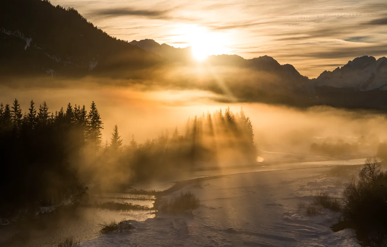 Photo wallpaper winter, forest, the sun, rays, light, snow, mountains, fog