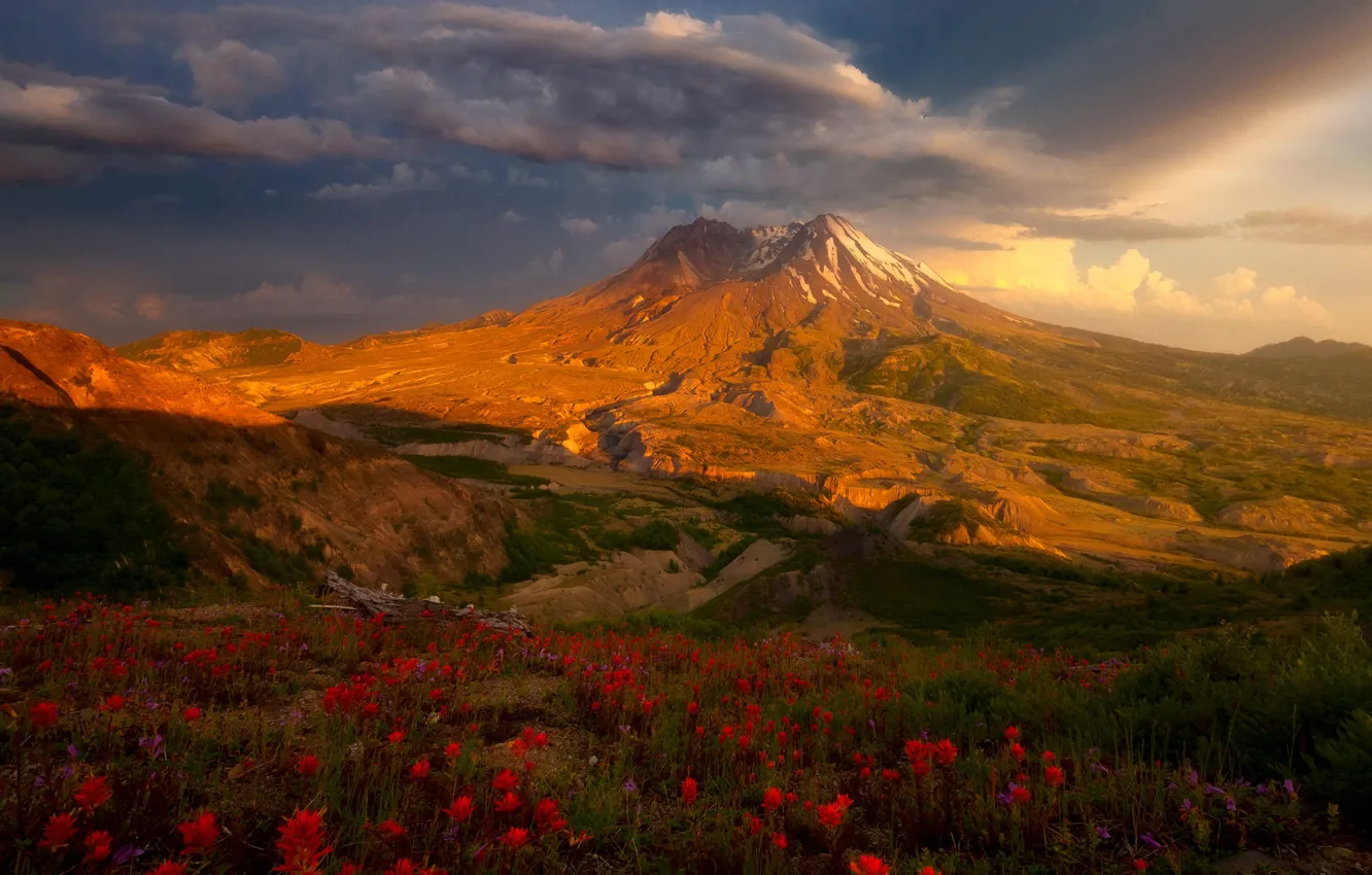 Photo wallpaper summer, the sky, clouds, light, flowers, mountains, the slopes, tops