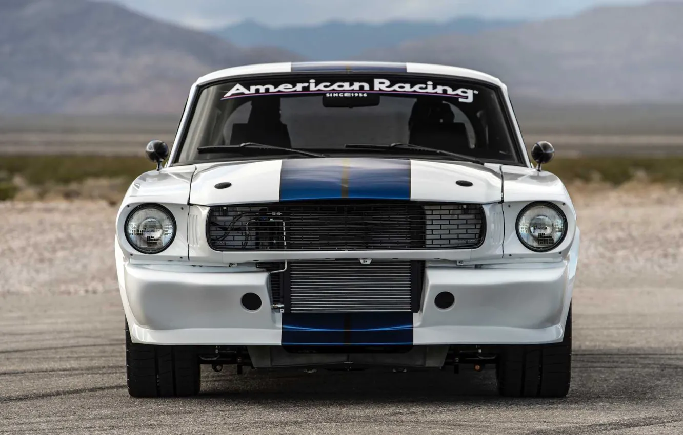 Photo wallpaper Shelby, Classic, Muscle car, Vehicle, GT350CR