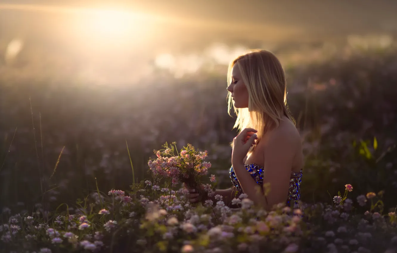 Photo wallpaper field, girl, the sun, flowers, In Dreams