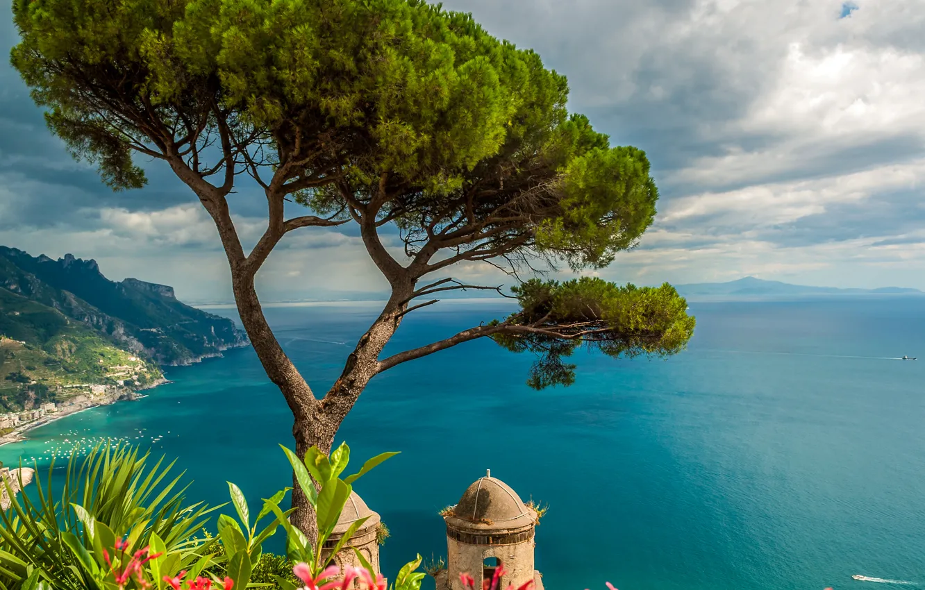 Photo wallpaper sea, the sky, clouds, trees, flowers, mountains, coast, height