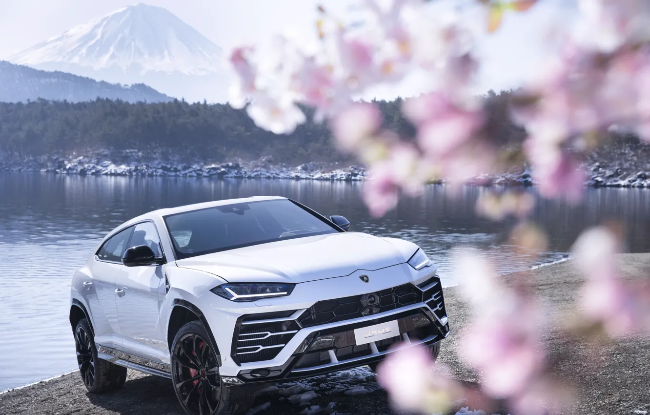 Photo wallpaper mountain, Lamborghini, Japan, Sakura, 2018, crossover, Fuji, Urus