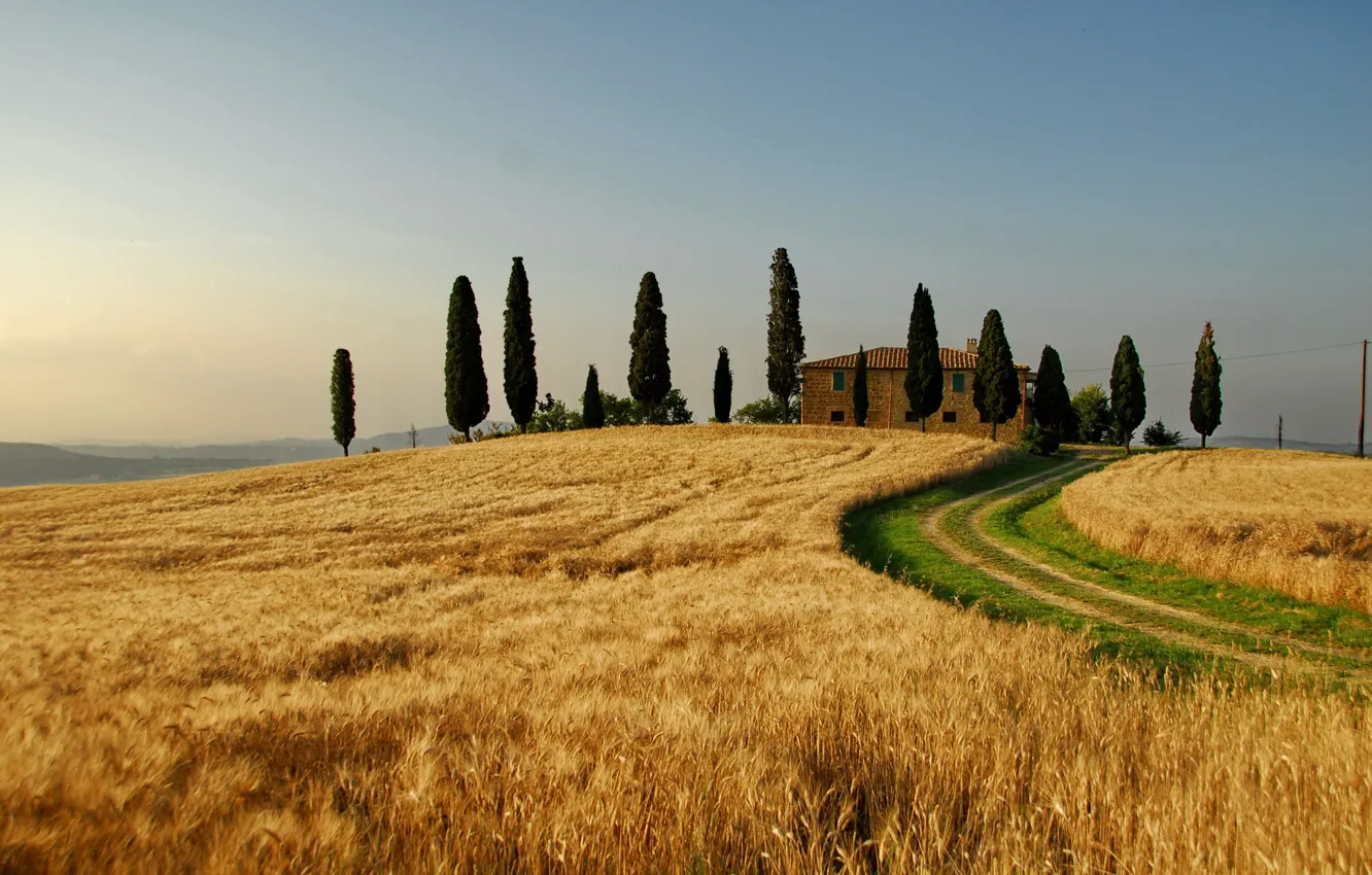 Photo wallpaper wheat, field, autumn, the sky, trees, landscape, nature, home