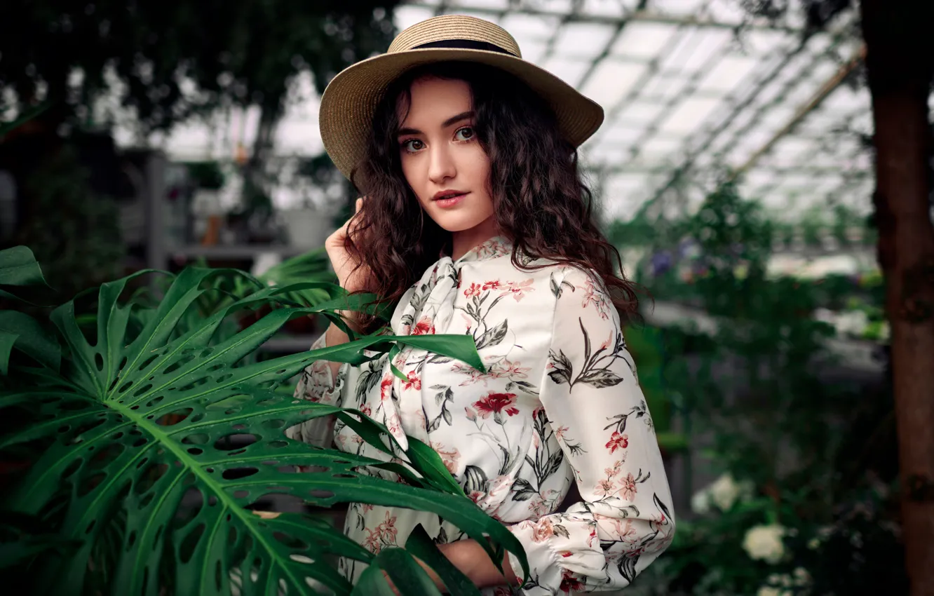 Photo wallpaper look, leaves, girl, portrait, hat, dress, greenhouse, Sergey Olszewski
