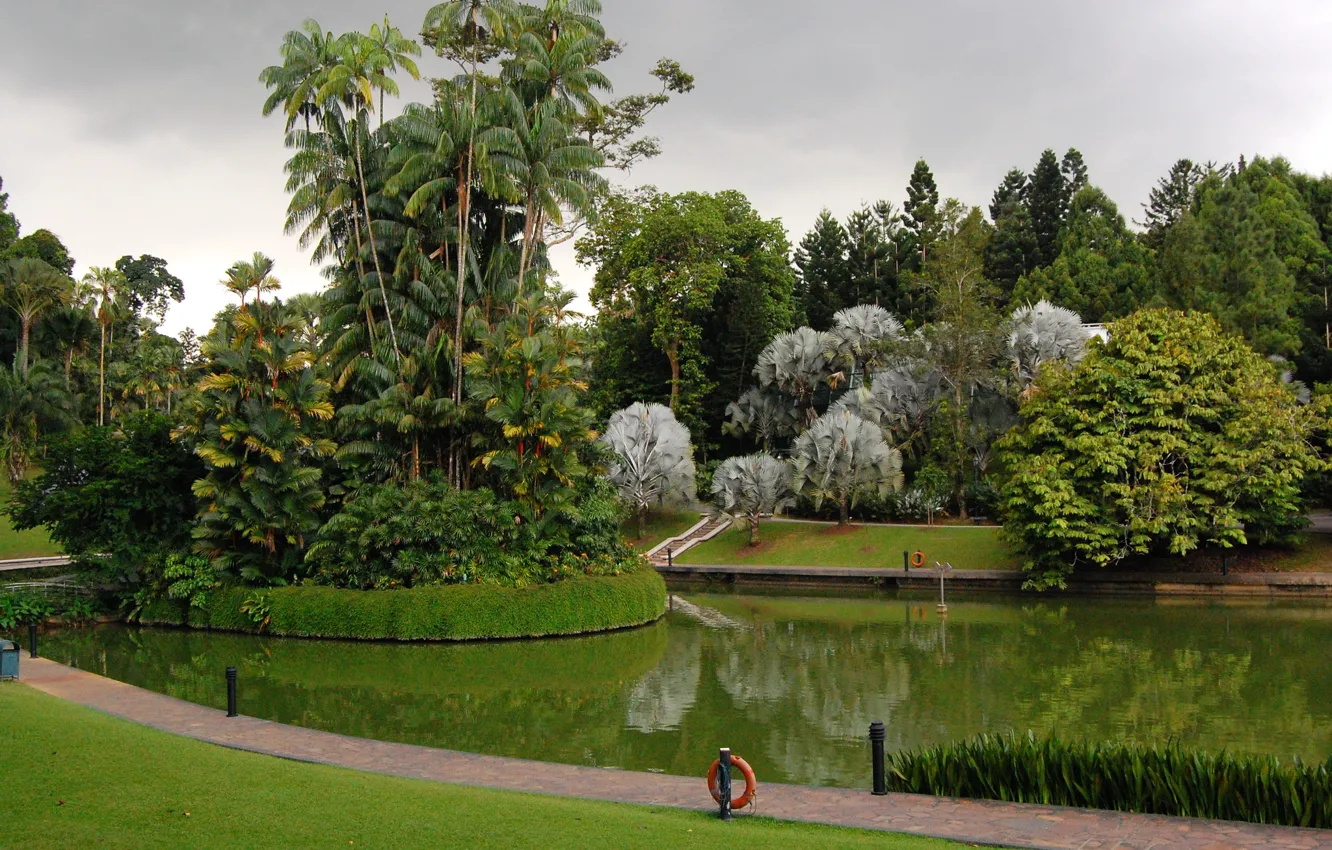 Photo wallpaper grass, trees, design, pond, Park, palm trees, lawn, Singapore